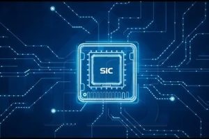 Silicon carbide chips